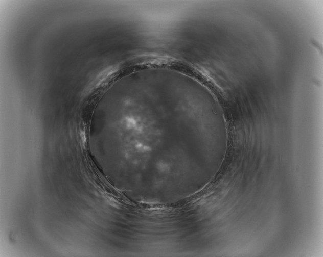 X0000091181399200708161509