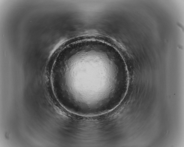 X0000091181400200708161509