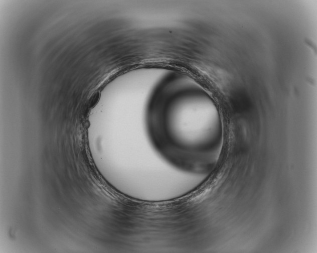 X0000091181401200708161509