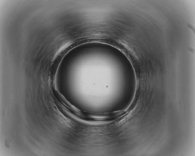X0000091181402200708161509