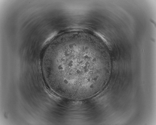 X0000091181403200708161509