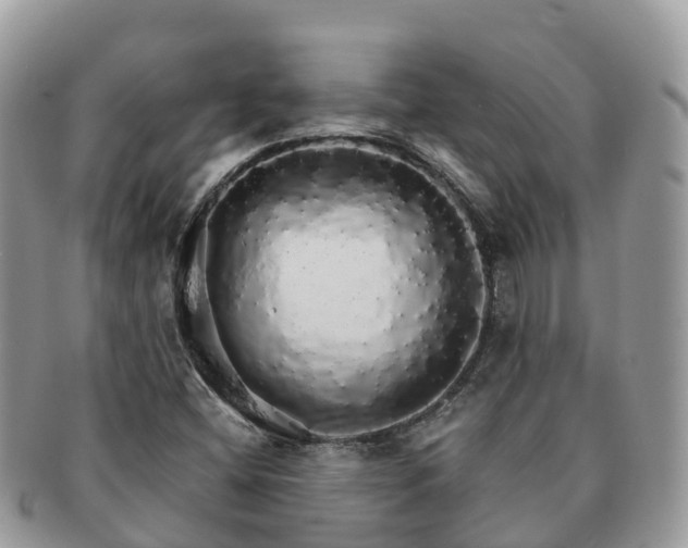 X0000091181404200708161509