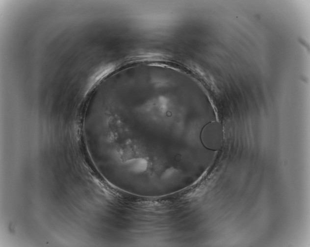 X0000091181405200708161509