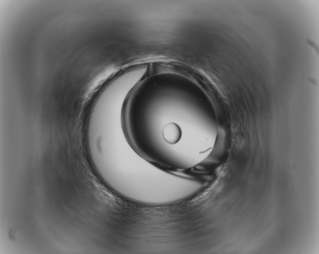 X0000091181406200708161509
