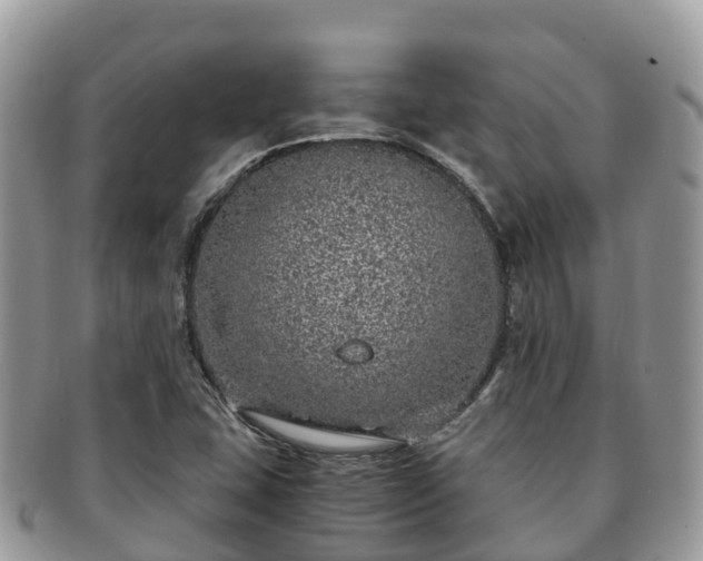 X0000091181407200708161509