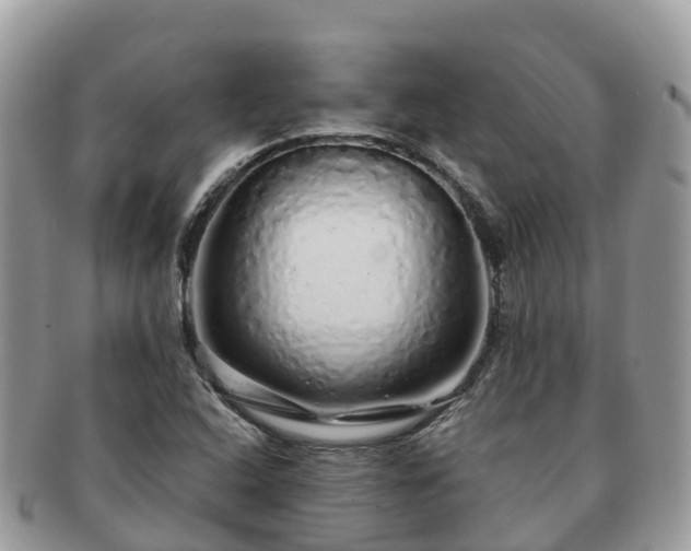 X0000091181408200708161509