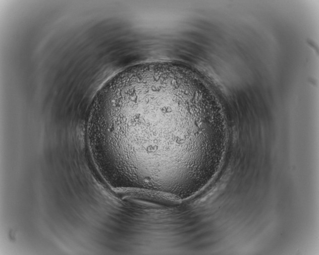 X0000091181409200708161509