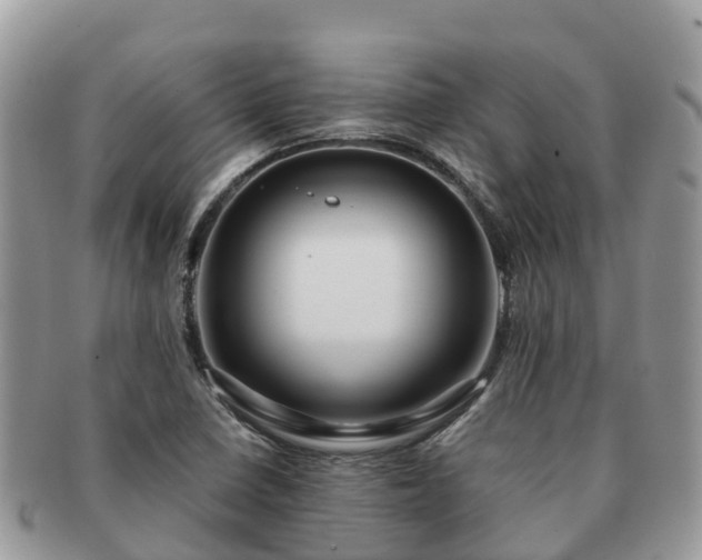 X0000091181410200708161509