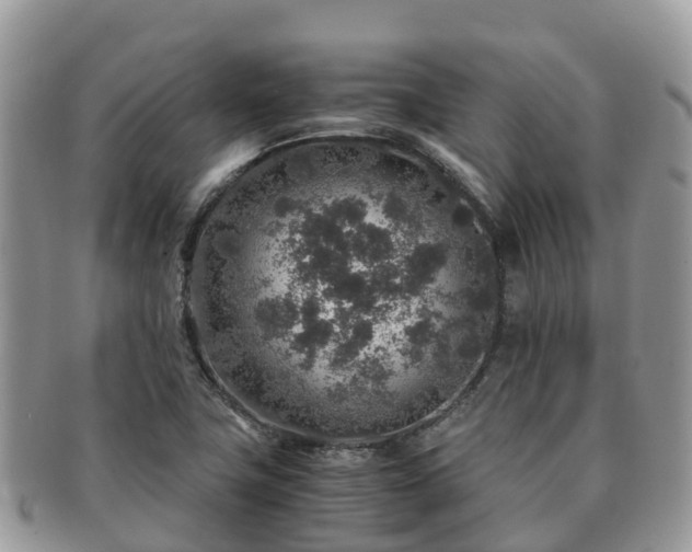 X0000091181411200708161509