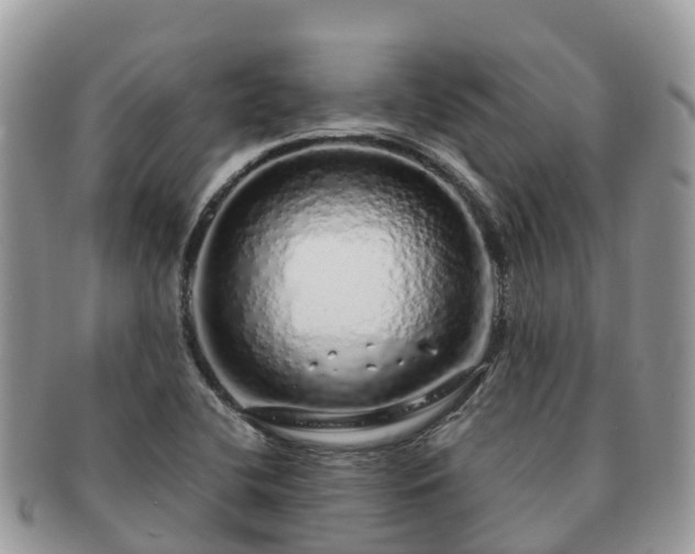 X0000091181412200708161509