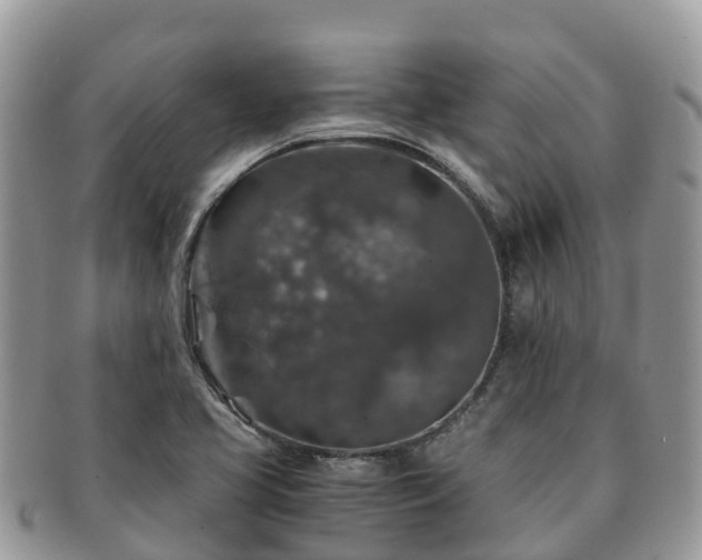 X0000091181413200708161509
