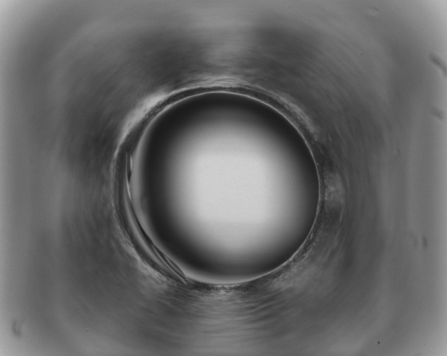 X0000091181414200708161509