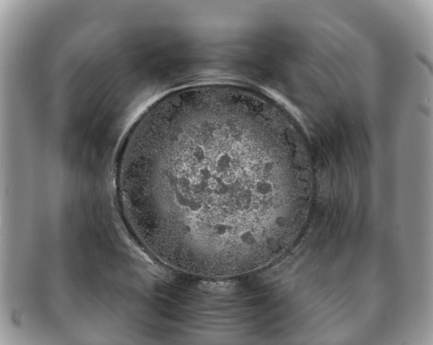 X0000091181415200708161509