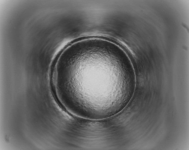 X0000091181416200708161509