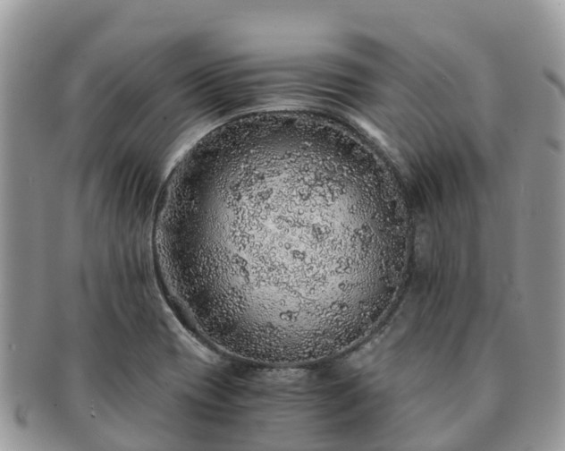 X0000091181417200708161509