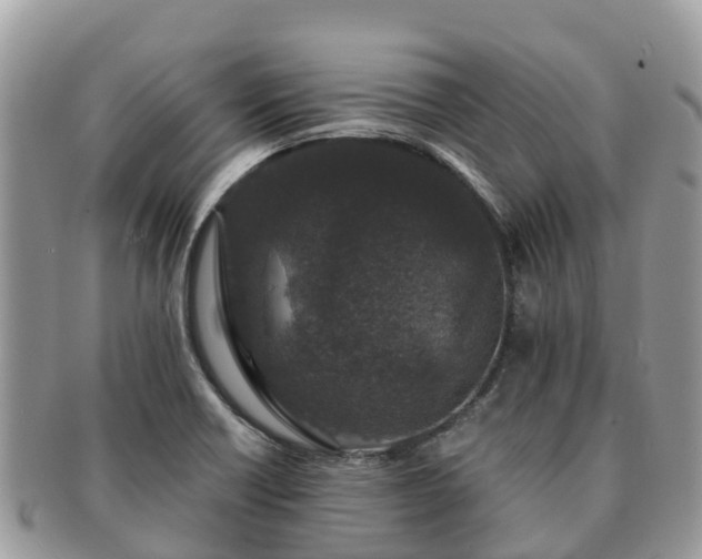 X0000091181418200708161509