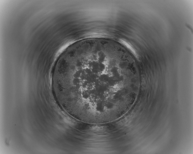 X0000091181419200708161509