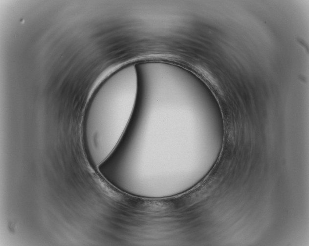 X0000091181420200708161509