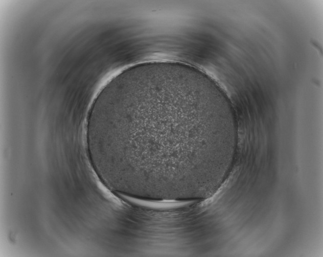 X0000091181421200708161509