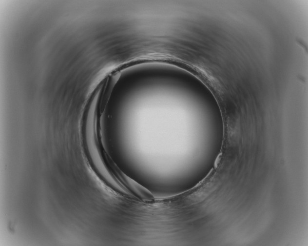 X0000091181422200708161509