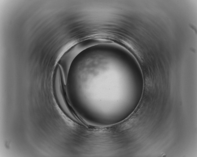 X0000091181426200708161509