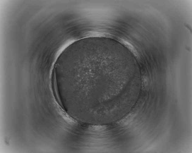 X0000091181427200708161509