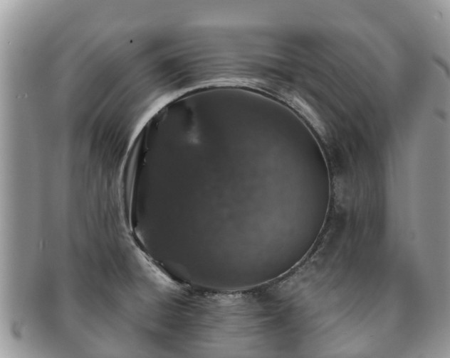 X0000091181428200708161509