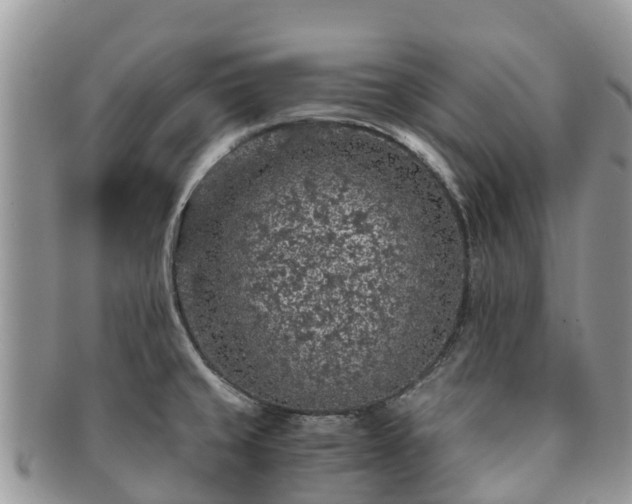 X0000091181429200708161509