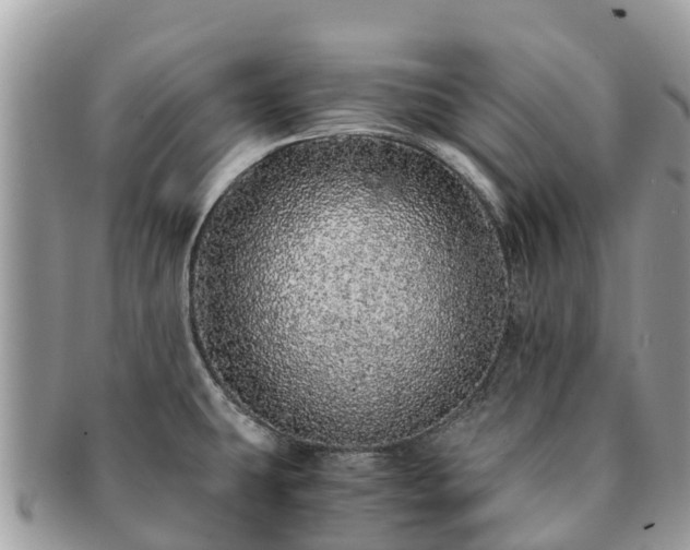 X0000091181431200708161509