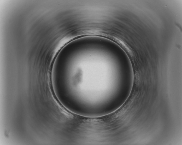 X0000091181432200708161509