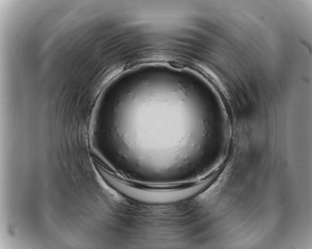 X0000091181433200708161509