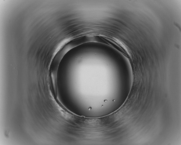 X0000091181434200708161509