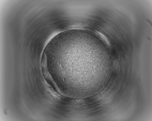 X0000091181435200708161509