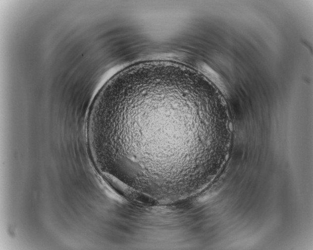 X0000091181436200708161509