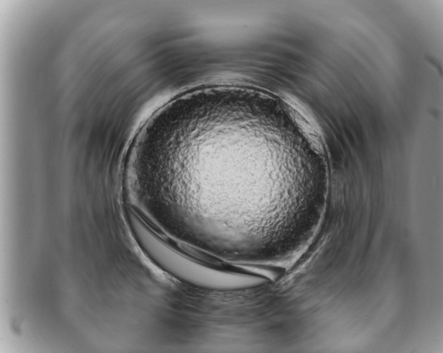 X0000091181437200708161509
