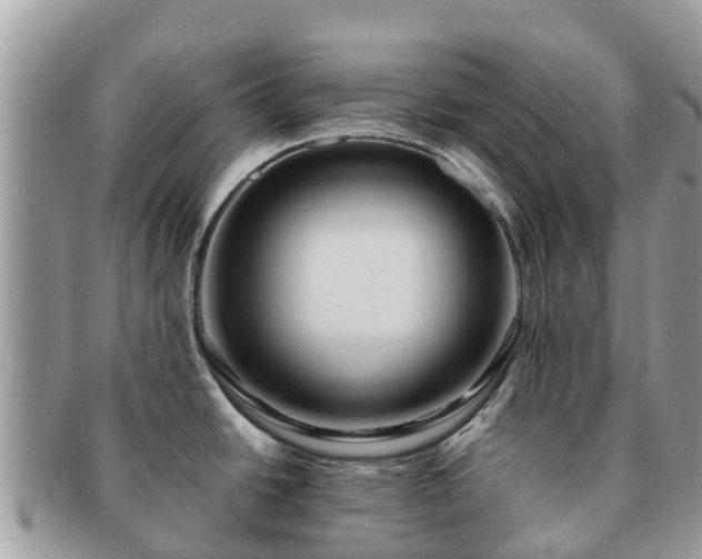 X0000091181438200708161509