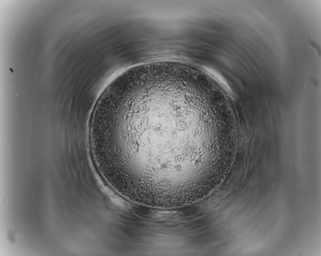 X0000091181439200708161509