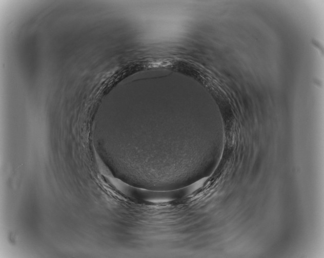 X0000091181441200708161509