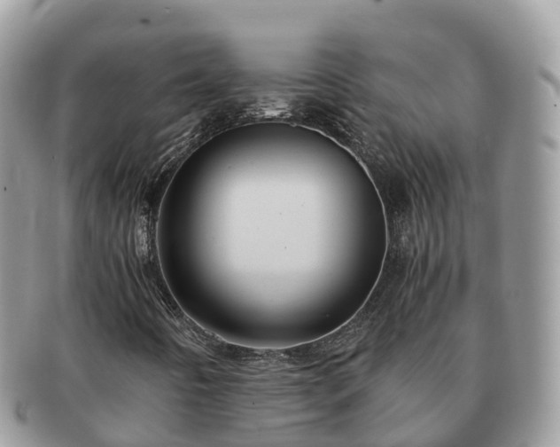 X0000091181442200708161509
