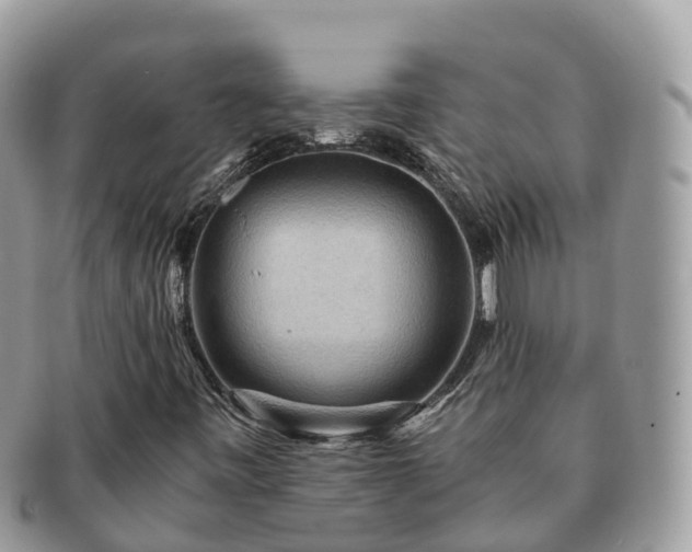 X0000091181443200708161509