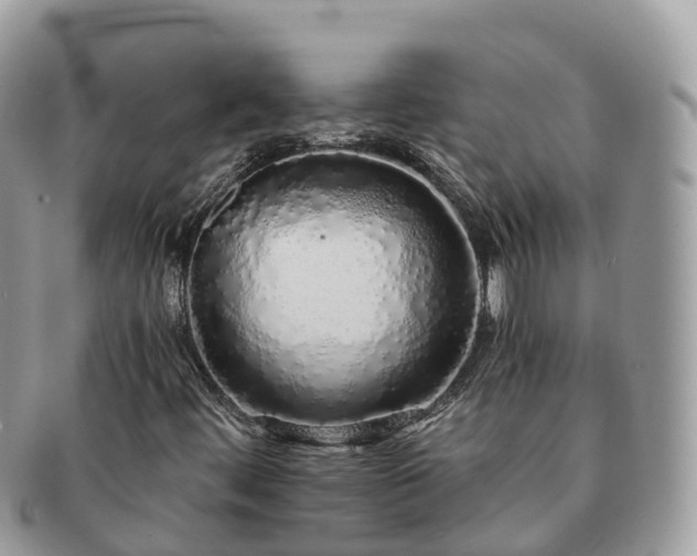 X0000091181444200708161509