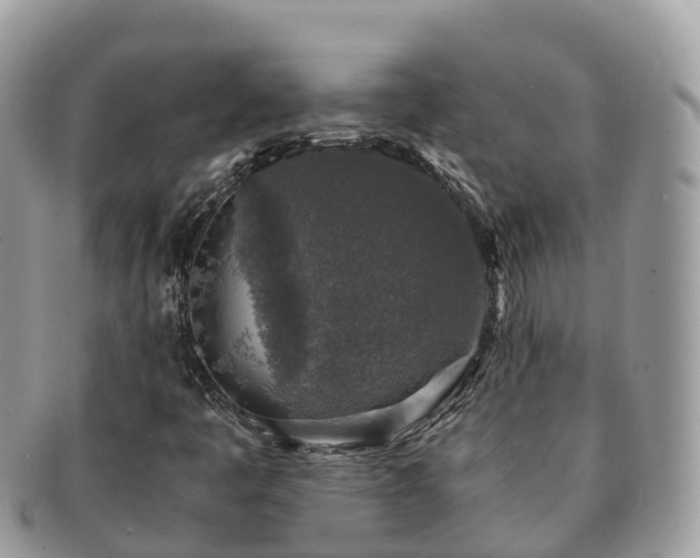 X0000091181445200708161509