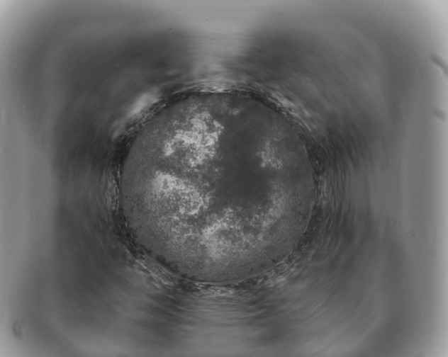 X0000091181446200708161509