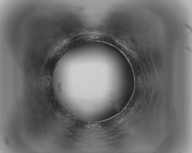 X0000091181447200708161509