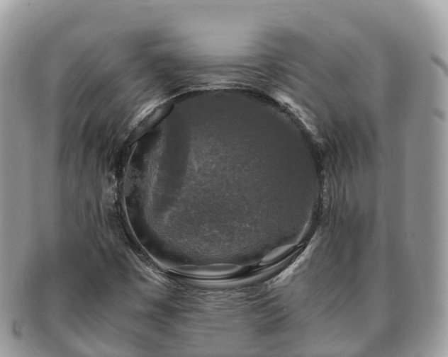 X0000091181449200708161509