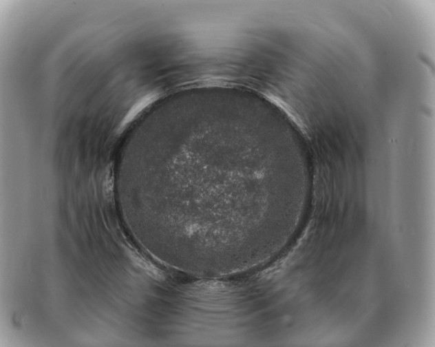 X0000091181450200708161509