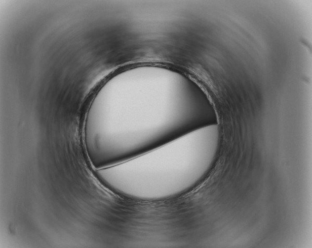 X0000091181452200708161508
