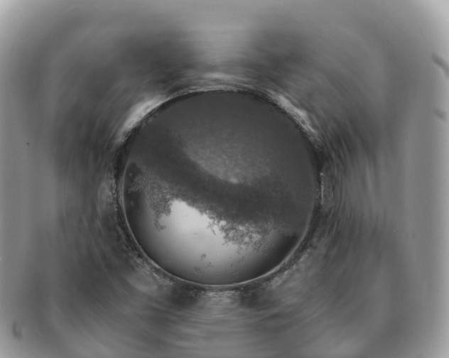 X0000091181453200708161508