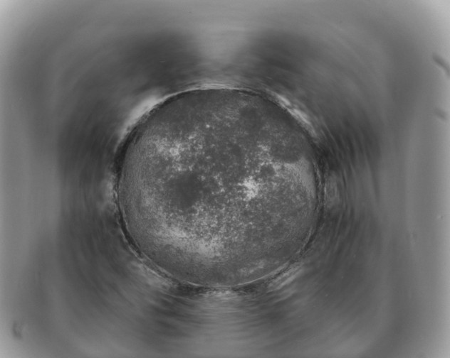 X0000091181454200708161508