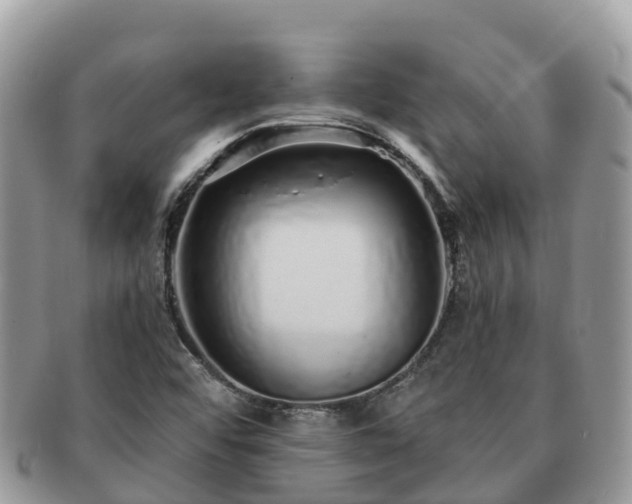X0000091181456200708161508